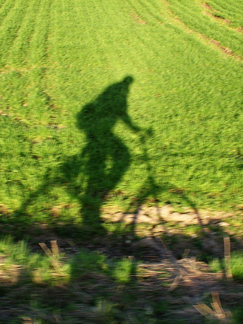 image/cykel-skygge-08.jpg