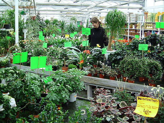image/balle's_plantecenter-09.jpg