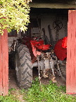 image/_gl_traktor-169.jpg