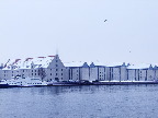 image/_koebenhavns_havn-052.jpg