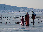 image/_roskilde_fjord-vinter-04.jpg