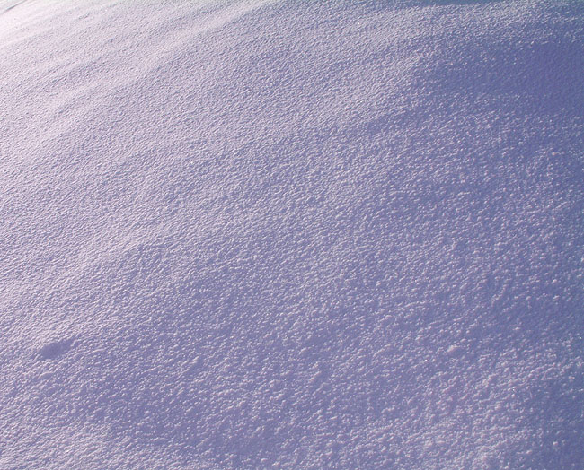 image/vinter_og_sne-28.jpg