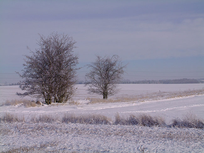 image/vinter_og_sne-60.jpg