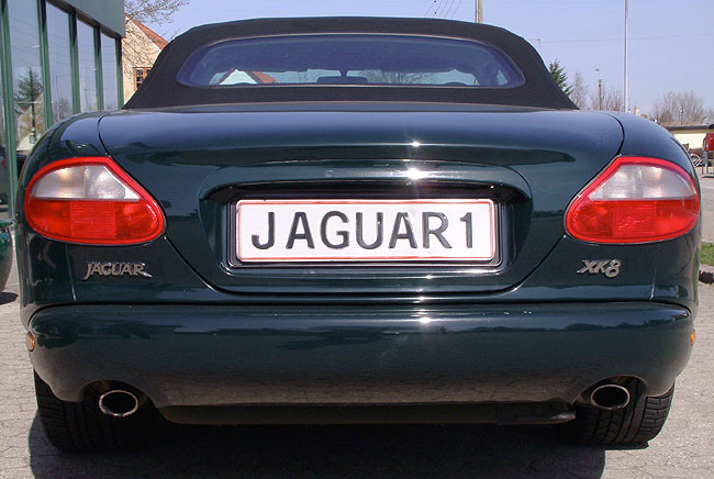 image/jaguar-04.jpg