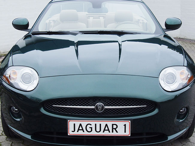 image/jaguar-083.jpg