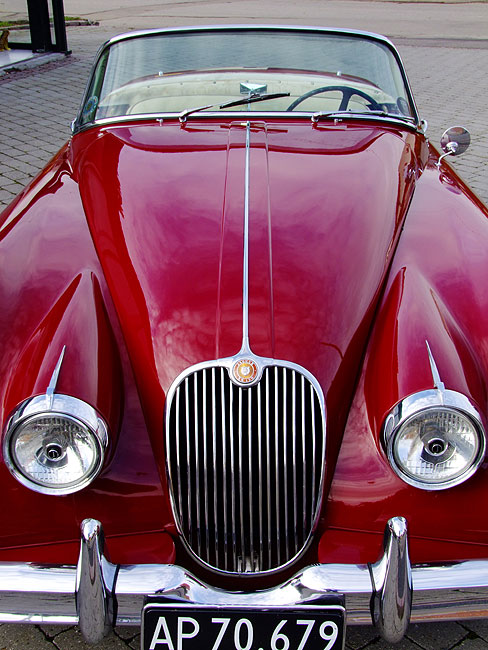 image/jaguar-1016.jpg