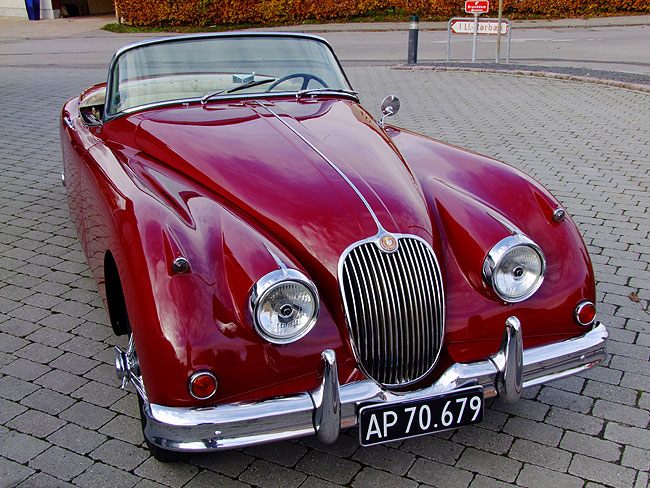 image/jaguar-1027.jpg