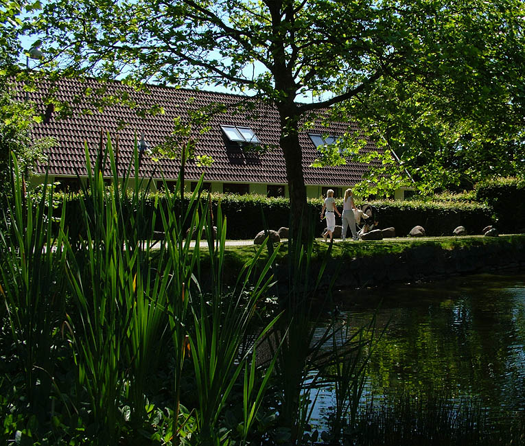 Panorama - Ledøje gadekær