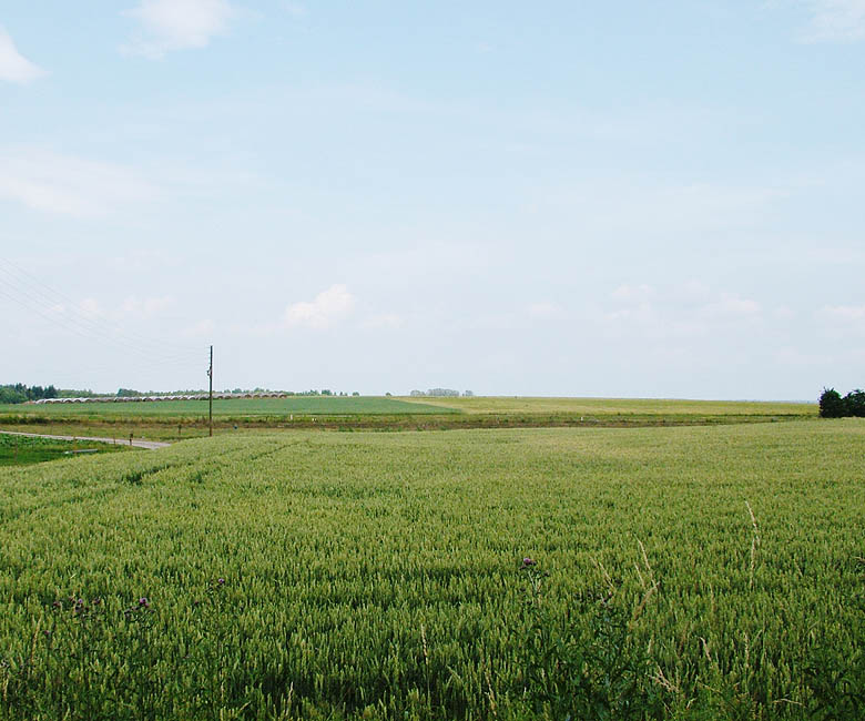 Panorama - Udsigt mod Anexgaard fra Veksø Kirke