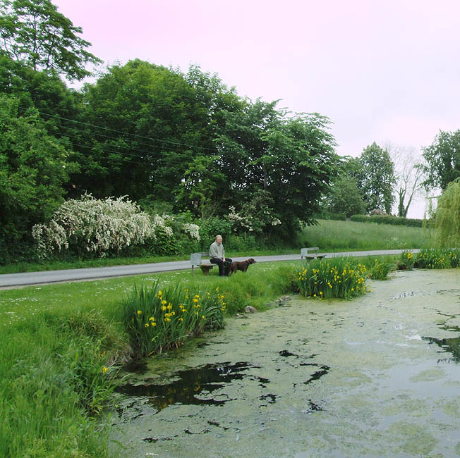 Panorama - Slagslunde gadekær