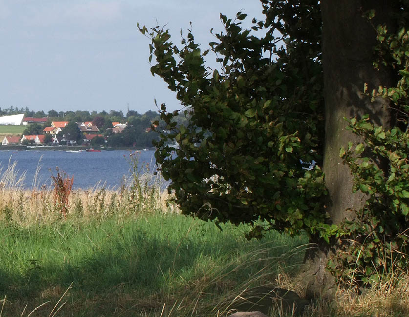 Panorama - Udsigt fra Eskilsø, kirkeruinen fra 11-hundredetallet, og den nye Hellig Kors Kirke