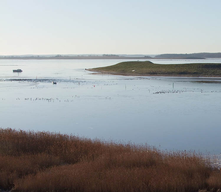 Panorama - Udsigt over en isdækket Roskilde Fjord