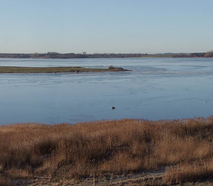 Panorama - Udsigt over en isdækket Roskilde Fjord