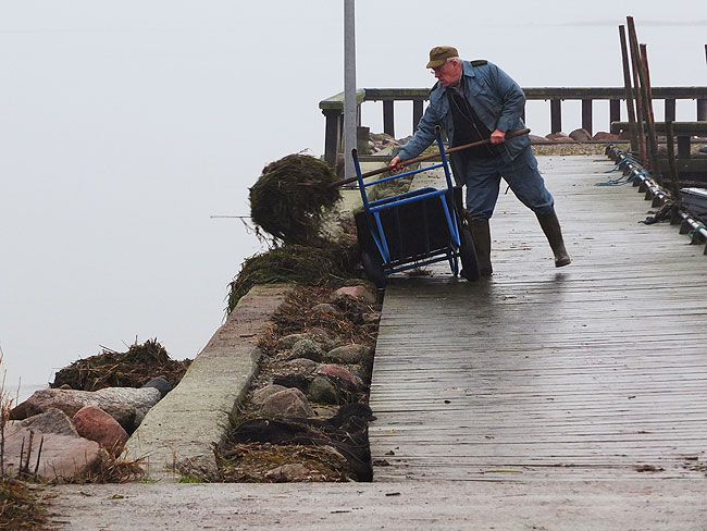 image/efter_stormfloden-964.jpg