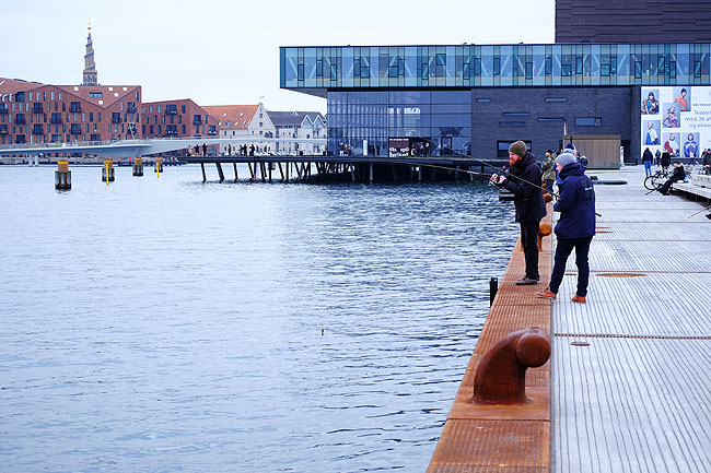 image/lystfiskeri_i_havnen-5562.jpg