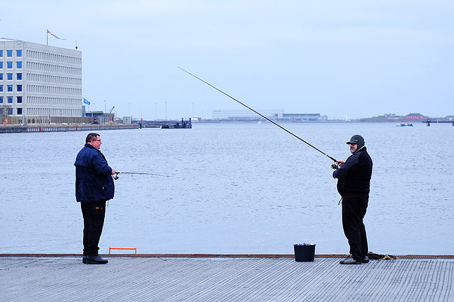 image/lystfiskeri_i_havnen-5566.jpg