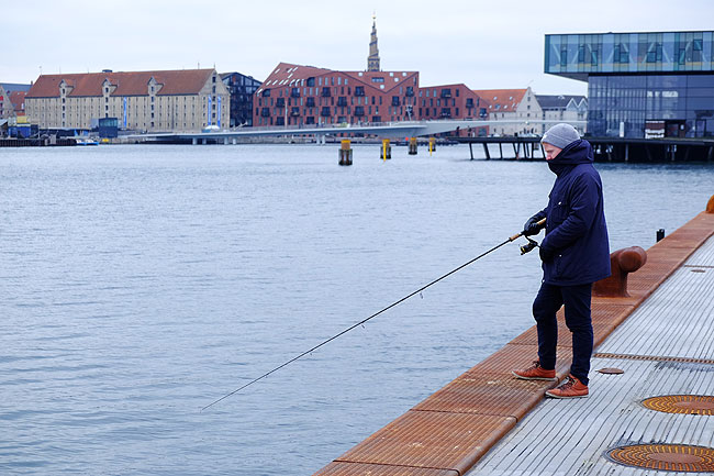 image/lystfiskeri_i_havnen-5577.jpg