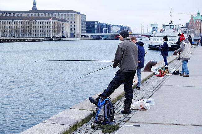 image/lystfiskeri_i_havnen-5611.jpg