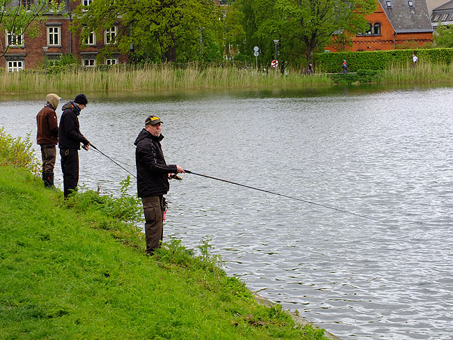 image/streetfishing_2015-8070.jpg