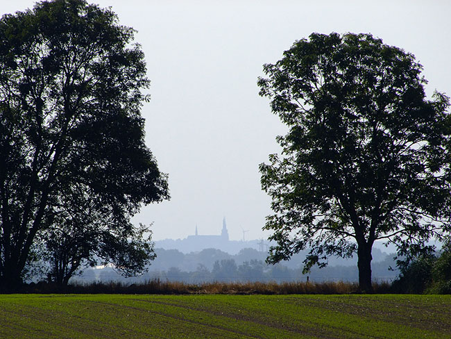 image/roskilde_domkirke-108.jpg