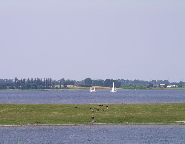 image/roskilde_fjord-48.jpg