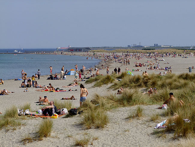 image/amager_strandpark-634.jpg