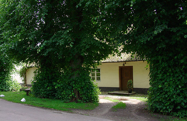 image/rytterskolen-37.jpg