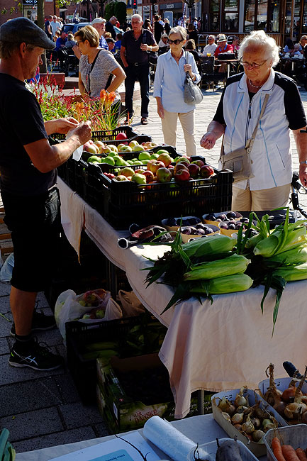 image/torvedag_roskilde-3760.jpg