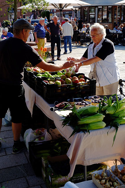 image/torvedag_roskilde-3762.jpg