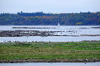 image/_roskilde_fjord-4588.jpg