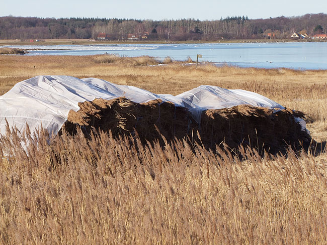 image/roskilde_fjord-368.jpg