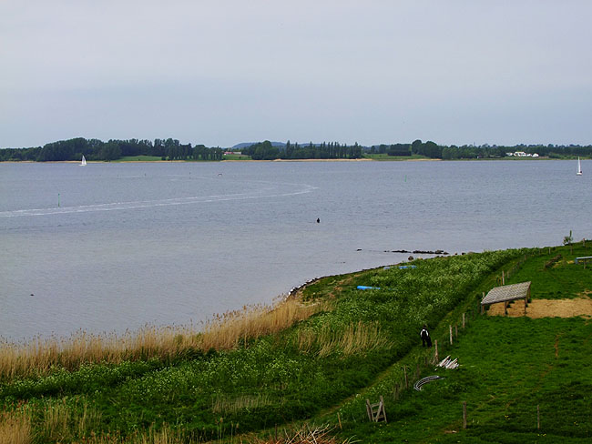 image/roskilde_fjord-535.jpg