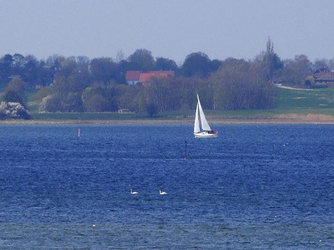 image/roskilde_fjord-577.jpg