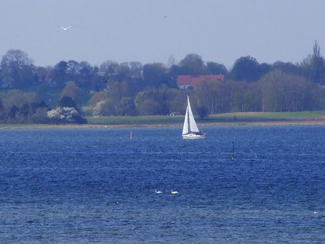 image/roskilde_fjord-578.jpg