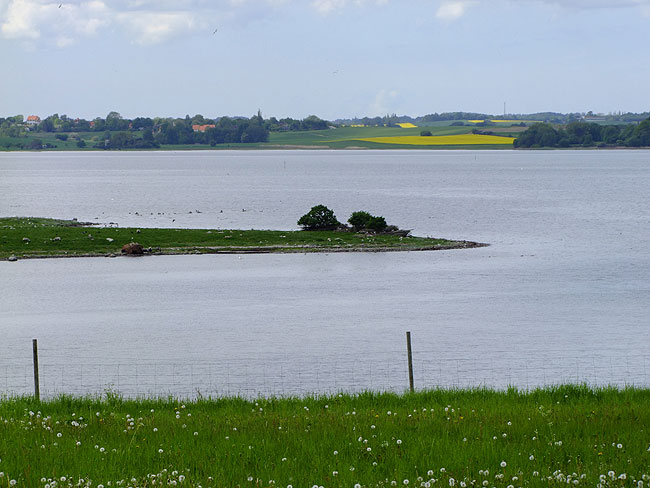 image/roskilde_fjord-625.jpg