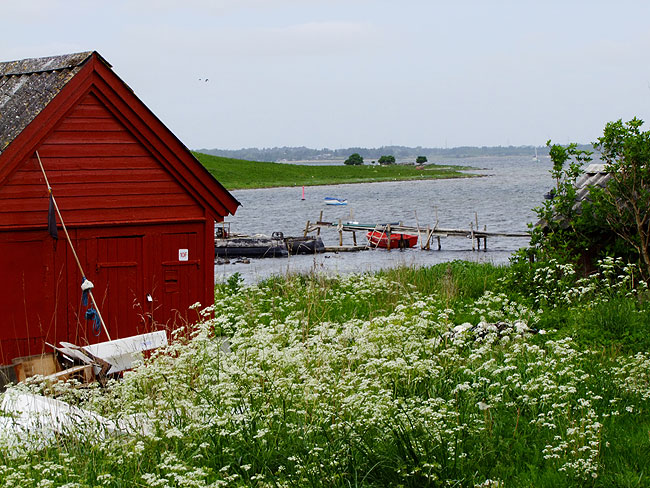 image/roskilde_fjord-642.jpg