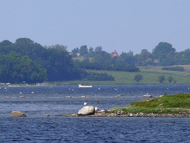 image/roskilde_fjord-655.jpg