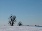 image/_landskab_vinter-54.jpg