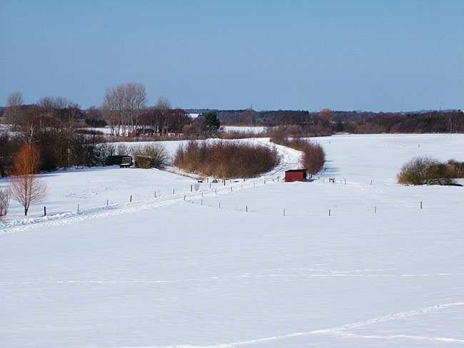 image/vinterlandskab-38.jpg
