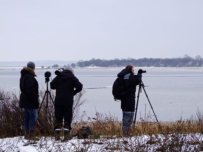 image/oernes_dag_2013-481.jpg