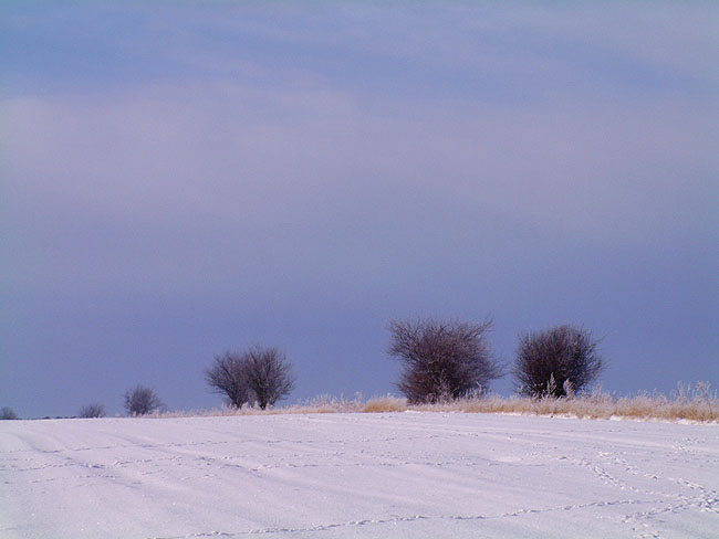 image/landskab_vinter-01.jpg