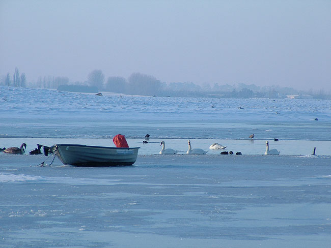 image/roskilde-fjord_vinter-01.jpg