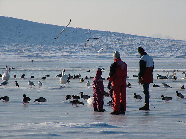 image/roskilde_fjord-vinter-04.jpg