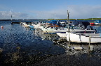 image/_jyllinge_havn-9457-1.jpg