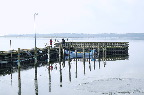 image/_jyllinge_havn-9645-1.jpg